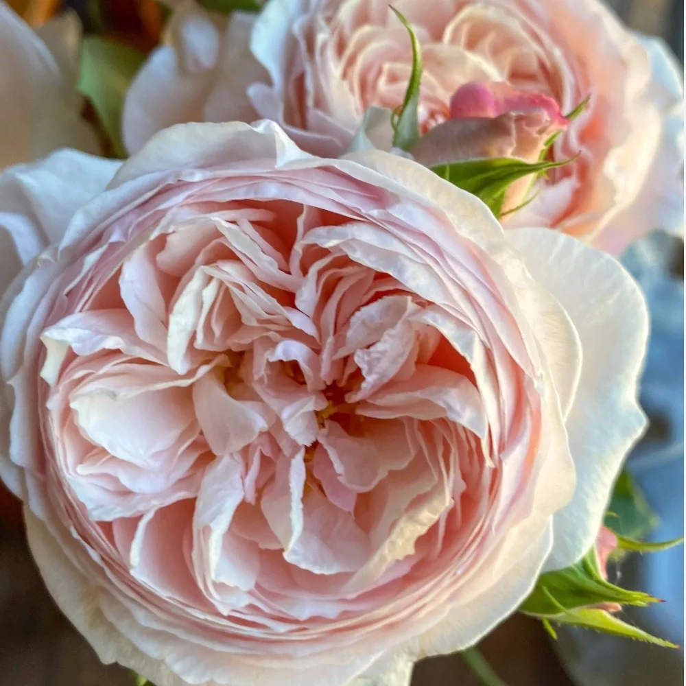 Soft Pink Artificial Rose Bouquet